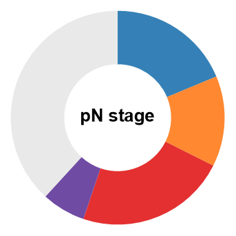 pN Stage Circular Chart